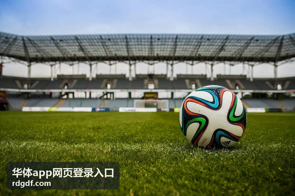 华体app网页登录入口技术统计与图表展示